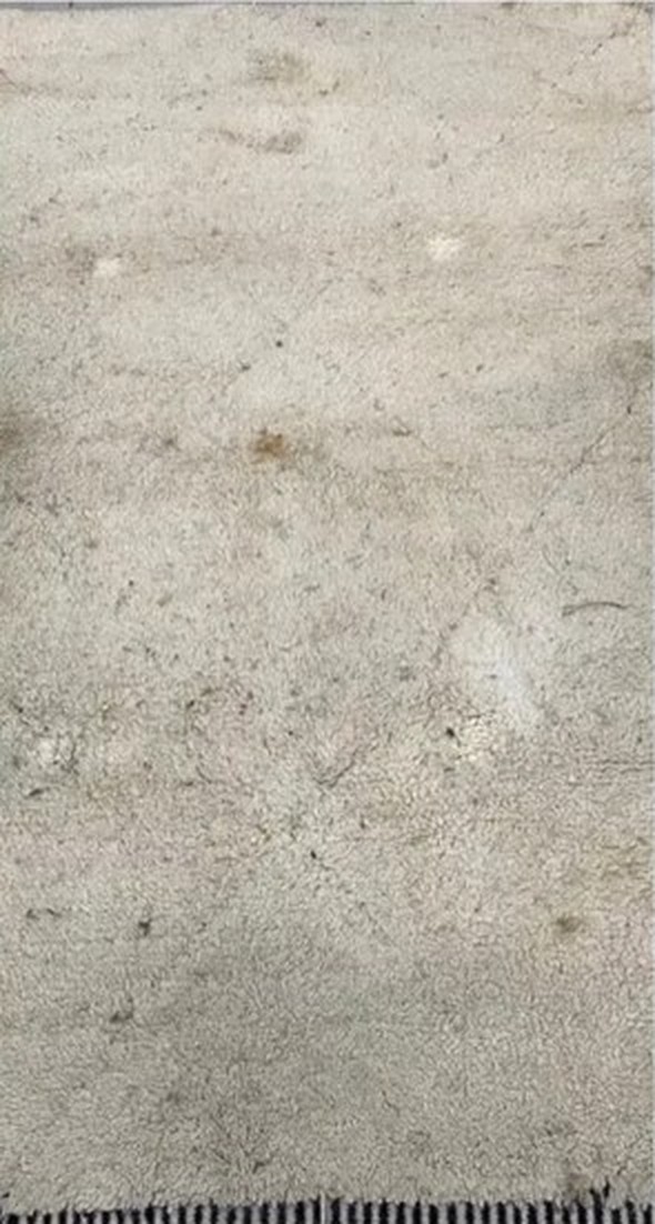 Tapis marqué de taches avant nettoyage