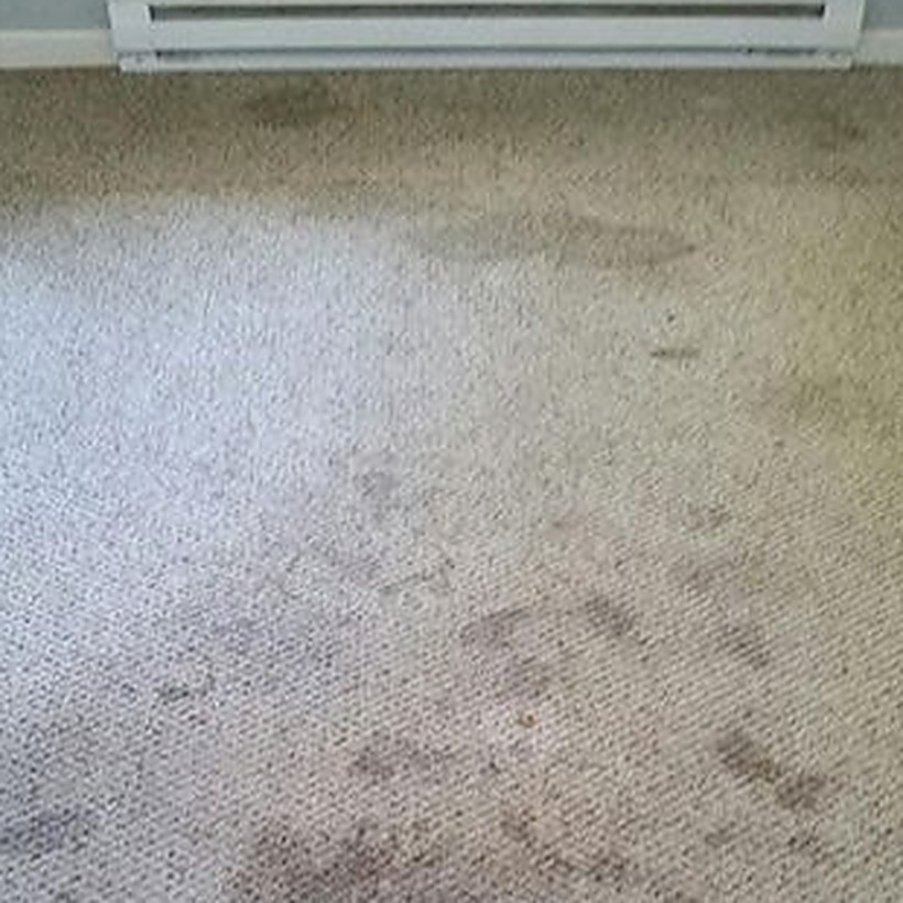 Moquette de chambre tachée, avant nettoyage